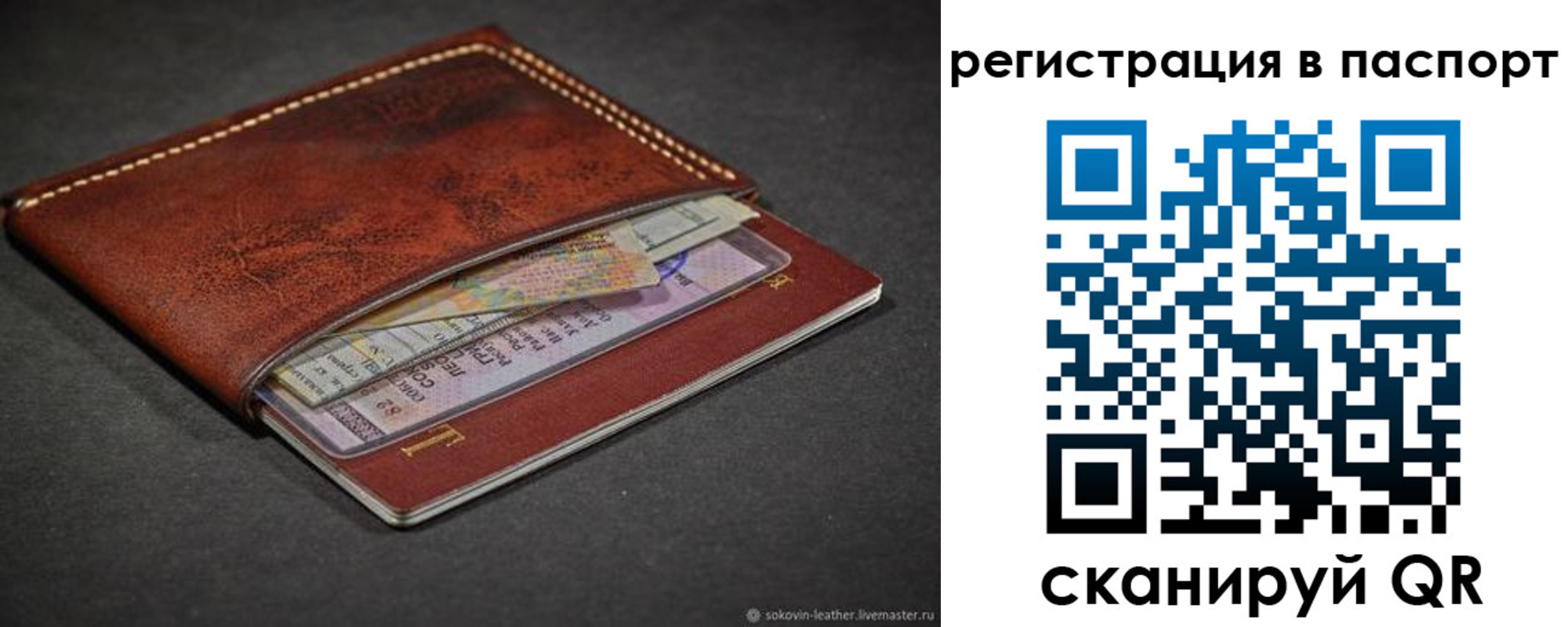 прописка иностранных граждан в Мурманской области